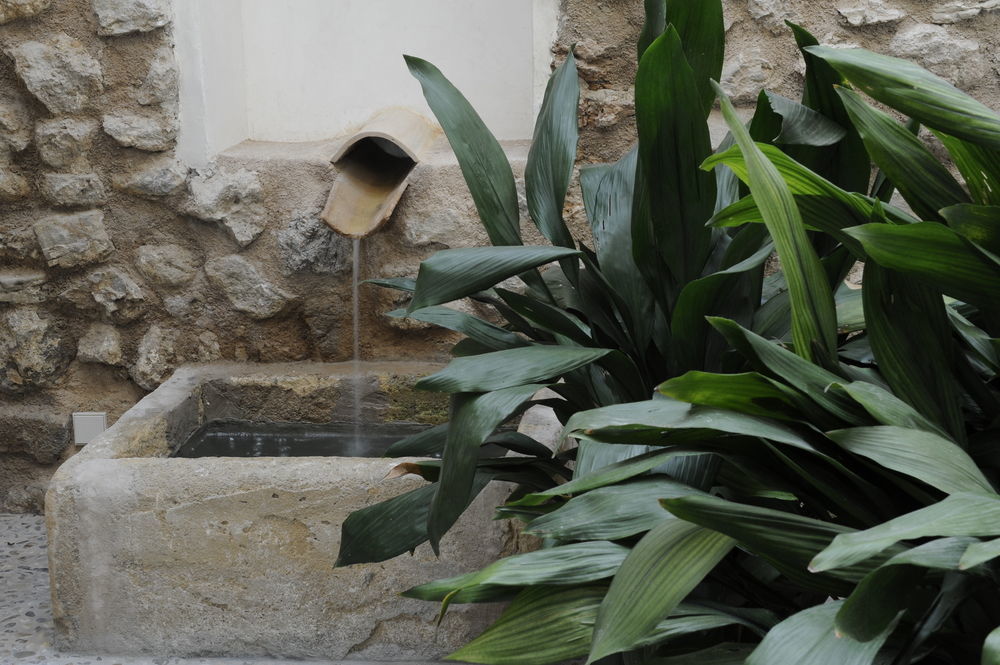Agroturismo Sestelrica *