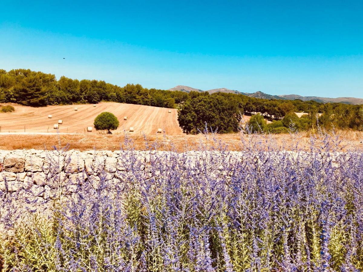 Agroturismo Sestelrica